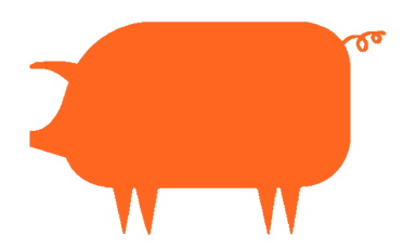 The Bearded Pig